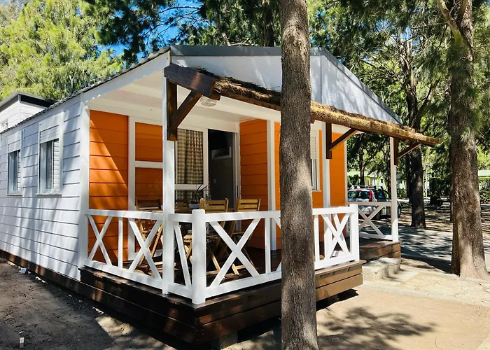 Hotel que admite mascotas: Camping Paloma
