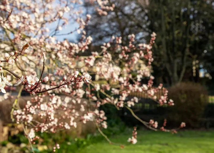 3 star hotel: Arnos Manor Hotel