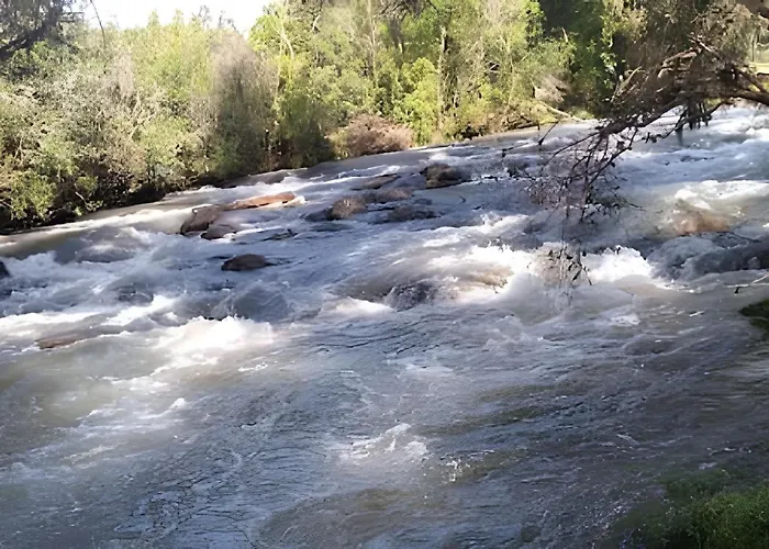 Hotel que aceita animais de estimação: Cabana Pequeno Bosque som dás Águas