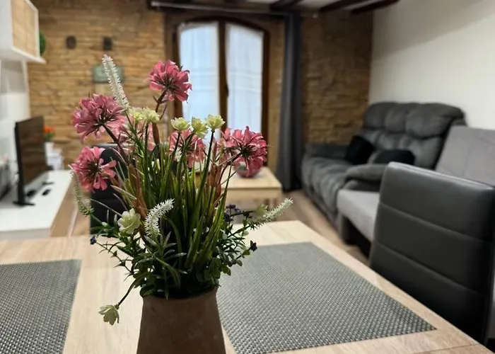 Hotel que admite mascotas: Navarreria