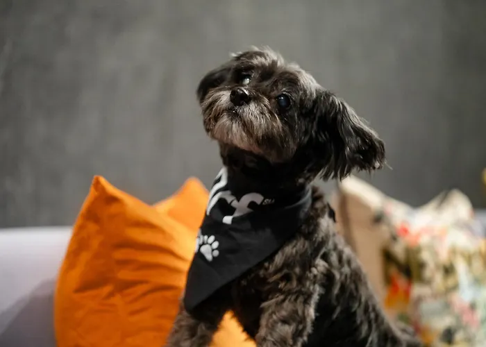 Aloft New York Chelsea