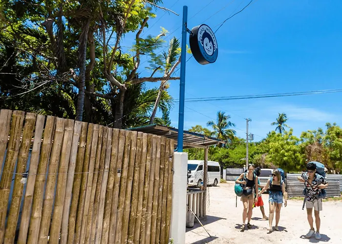 Hostel: Mad Monkey Panglao