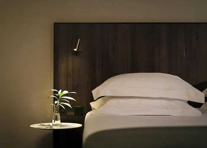 Hotel que admite mascotas: Ciutat De Girona