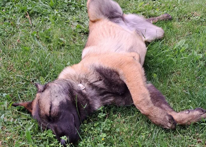 Hotel cerca del colegio: A Casa Do Xastre