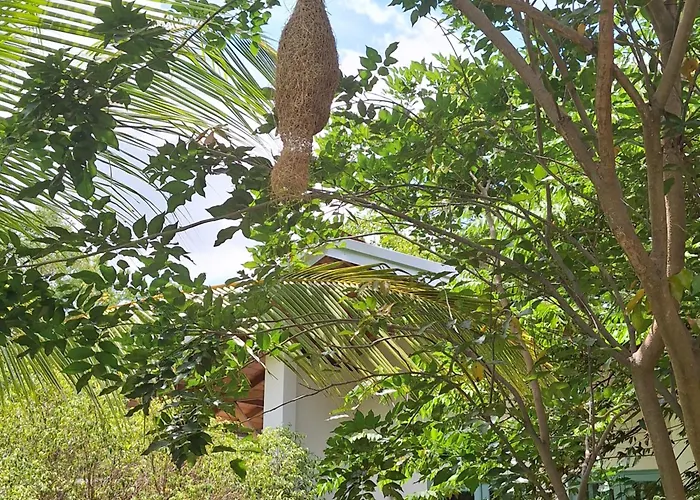 Private Villa: Kandalama Lodge