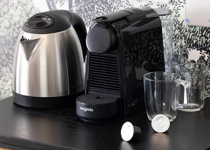 Hôtel accueillant les animaux: Hôtel Du Dragon