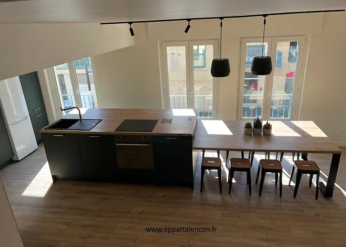 Hôtel accueillant les animaux: Grand appartement lumineux en plein centre-ville