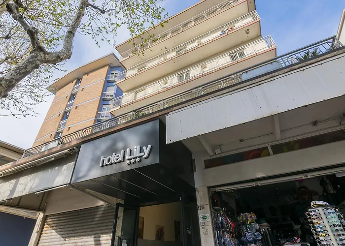 Perros hoteles Lily