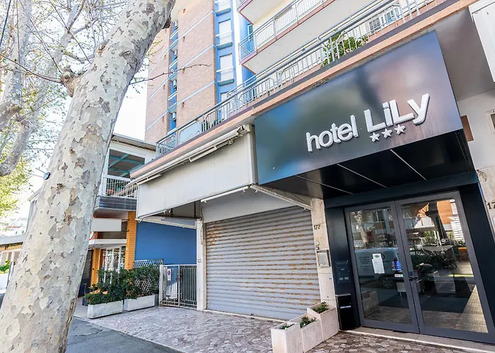 Perros hoteles Lily