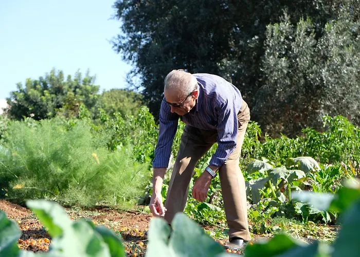 Masseria Grieco