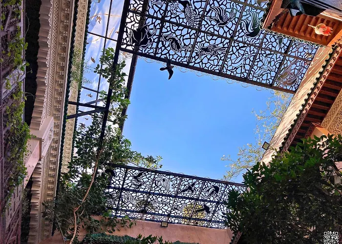Toyour- Of Birds