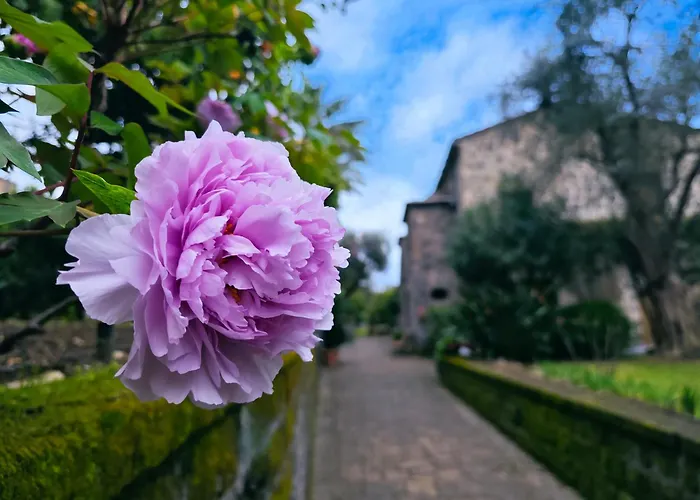 La Neffola