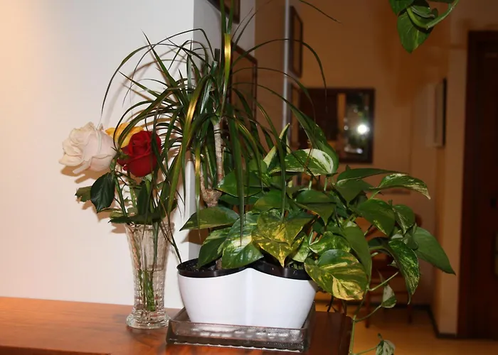 Hotel boutique: Hotel Sole Mare