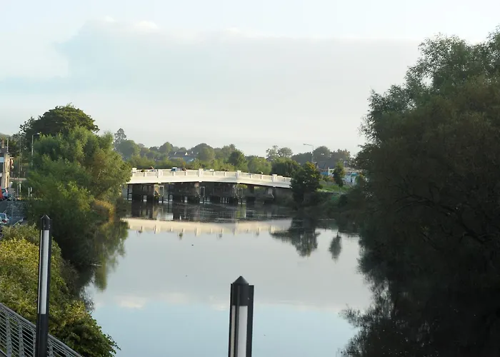 Hôtel accueillant les animaux: Absolute Hotel Limerick