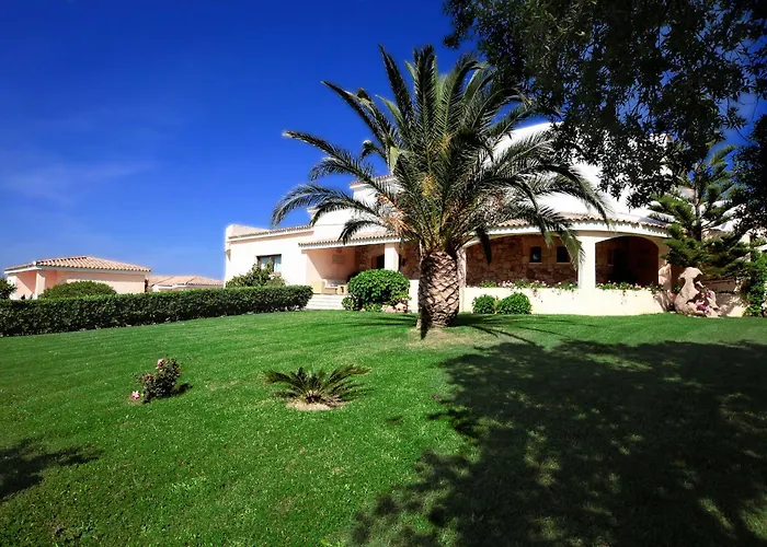 Hotel Ping Pong: Hotel Micalosu