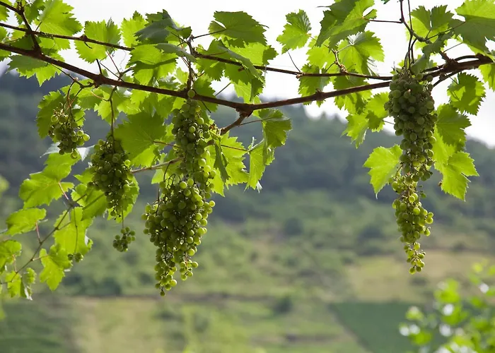 Goedkoop hotel: Hotel Karl Mueller