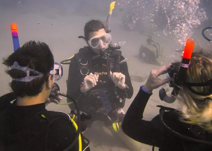 Oonas Dive Club