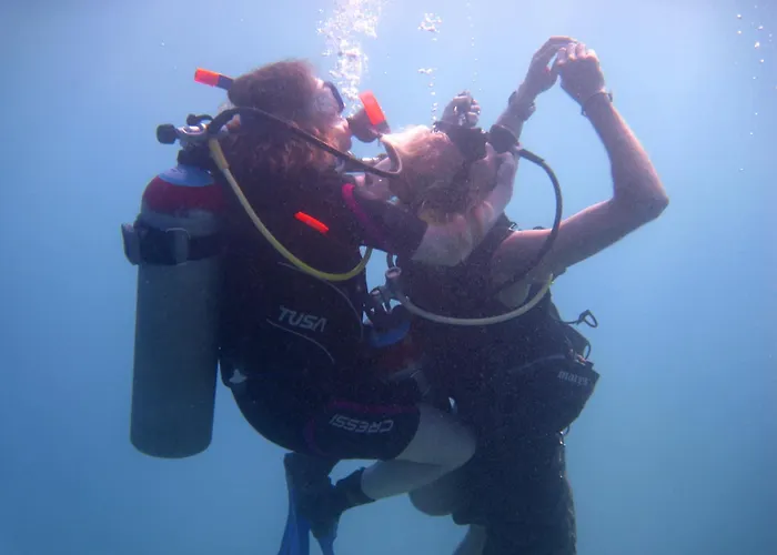 Oonas Dive Club
