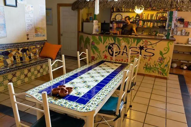 Oasis