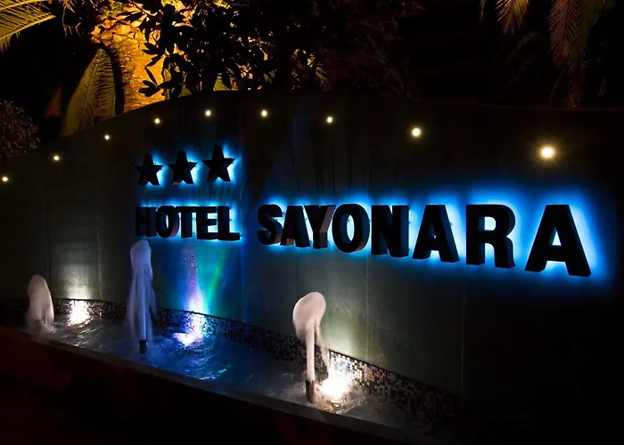 Hotel con piscina: Hotel Sayonara