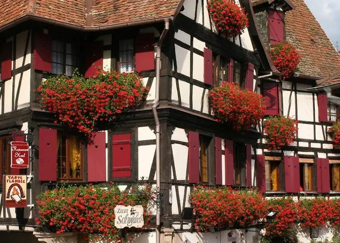 Animaux admis Restaurant Zum Schnogaloch
