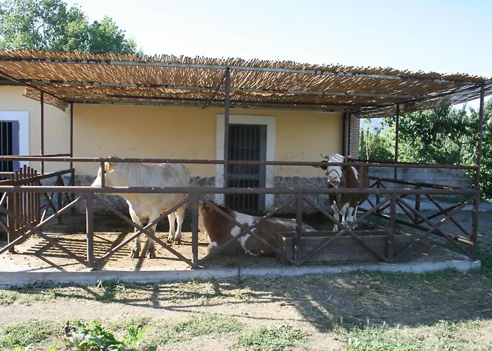 Private Villa: Azienda Agrituristica Vivi Natura