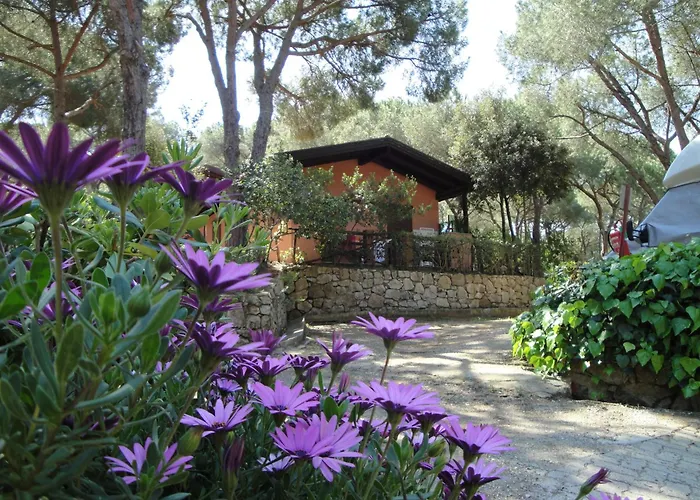 Hotel con piscina: Camping Lacona Pineta