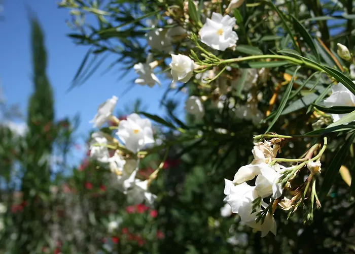 Golf hotel: Hotel Catullo