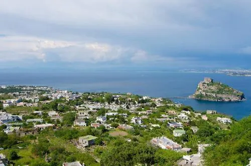 Central hotel: La Capannina - Hotel & Apartments