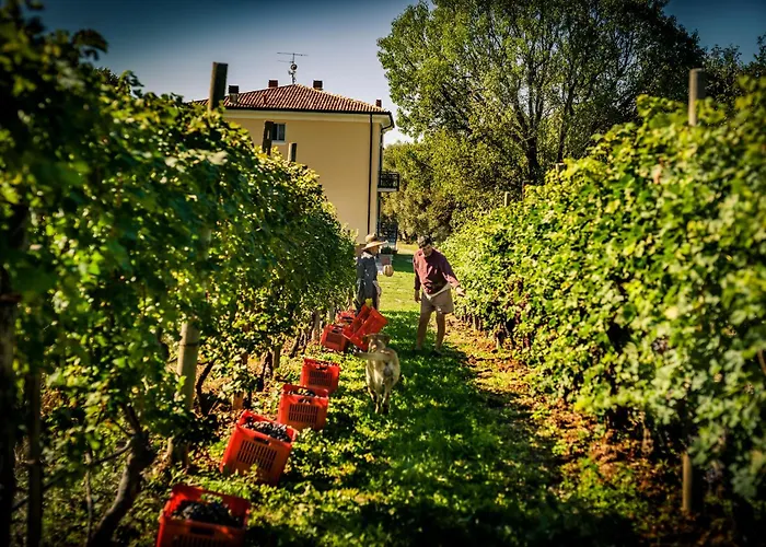 Agriturismo Olistico Atman