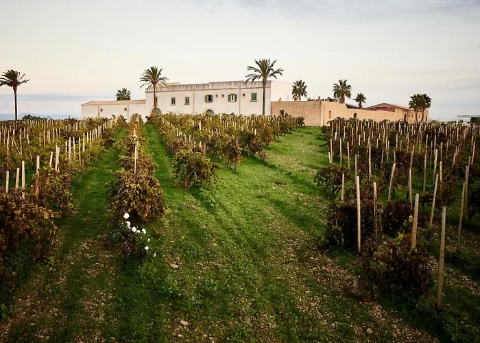  Baglio Donnafranca Wine