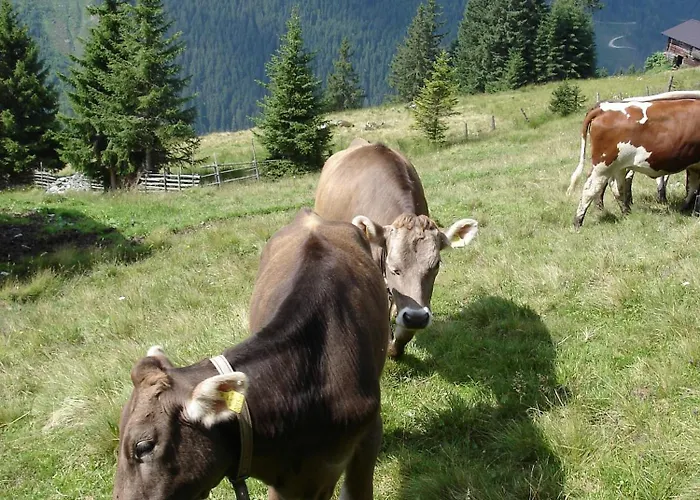 Vakantieverhuur: Farm Resort Geislerhof