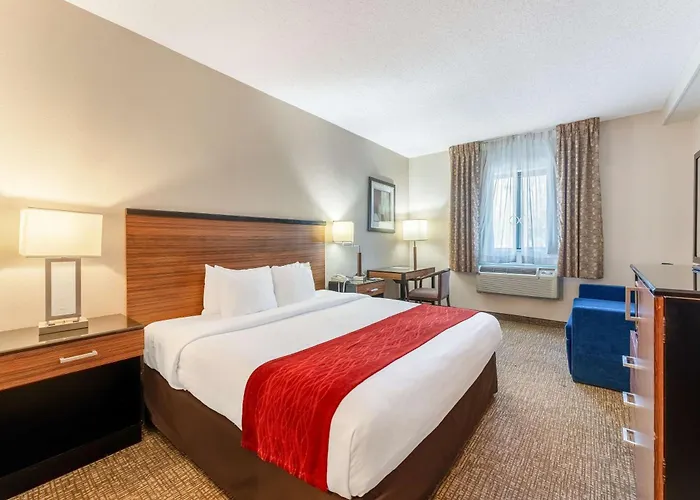 Hotel near College: Surestay Plus By Best Western Reading North