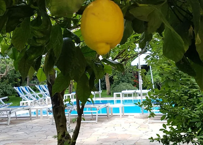 Albergo centrale: Hotel Tourist