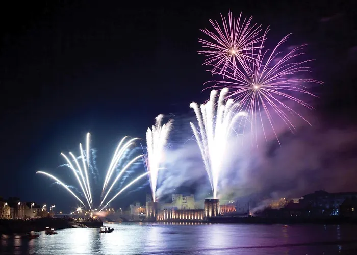Hôtel accueillant les animaux: Limerick Strand Hotel