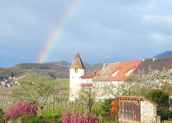 Luxe hotel: Hotel Munsch Restaurant & Wellness, Colmar Nord - Haut-Koenigsbourg