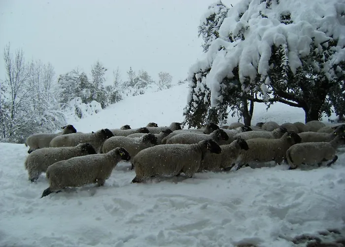 Maso Santa Libera