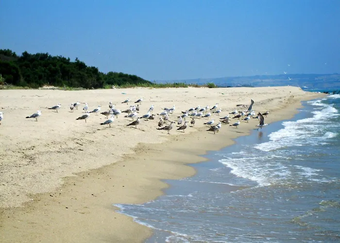 Hotel: Hotel Onda Bleu