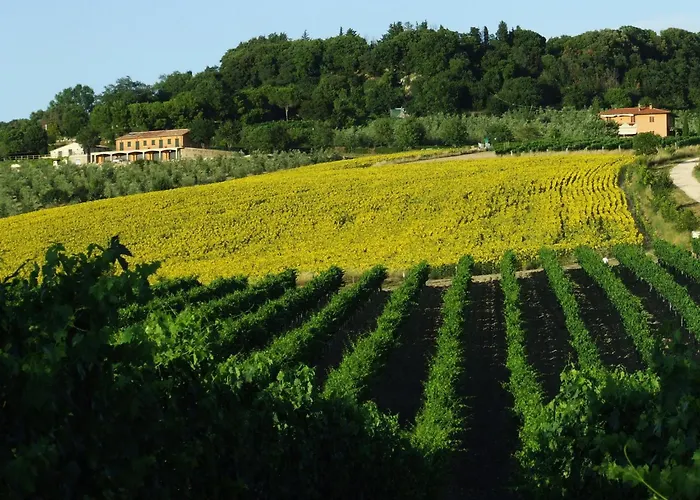 Villa con piscina: Bio Agriturismo Il Torrione