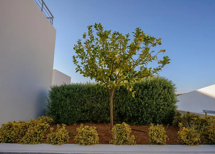 3 sterren hotel: Lenikos Resort