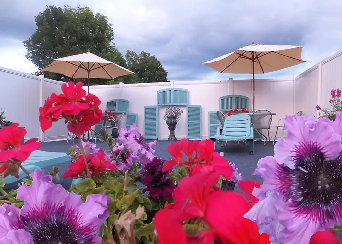 Motel: Windsor Motel