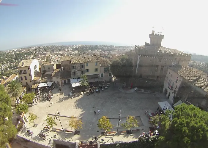 Hôtel accueillant les animaux: Hôtel Grimaldi