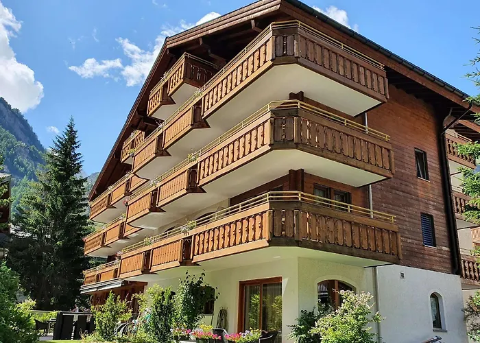 Hôtel accueillant les animaux: Hotel Daniela