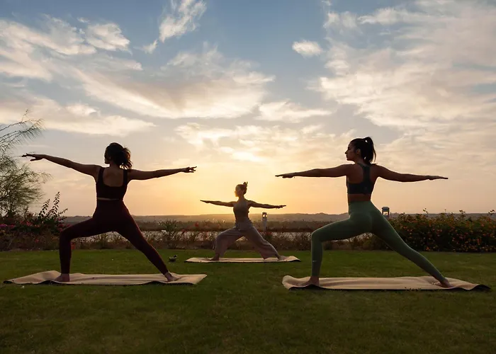  Zen Wellness