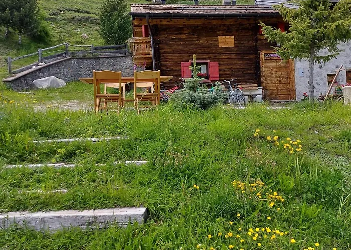 Hotel adatto agli animali: Chalet Renzo