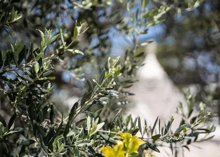 Trullo Leone