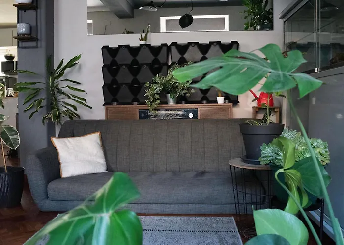 The Hostels Draft & Rooms