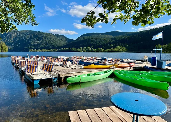 Hôtel accueillant les animaux: Hôtel Les Chatelminés