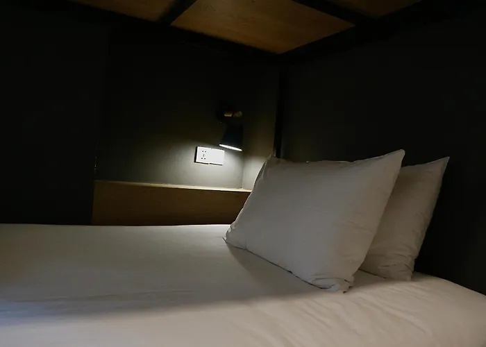 The Hammock Hotel Fine Arts Museum