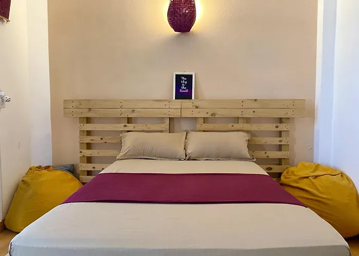 Pets Allowed Hotel Seconds - Colombo